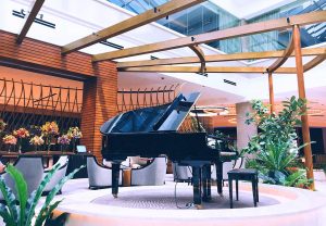 Piano on South African Business Directory site