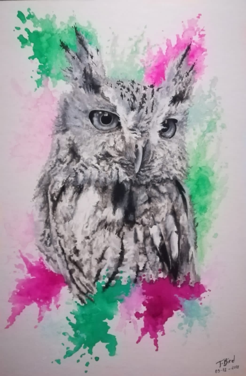 a picture of an owl