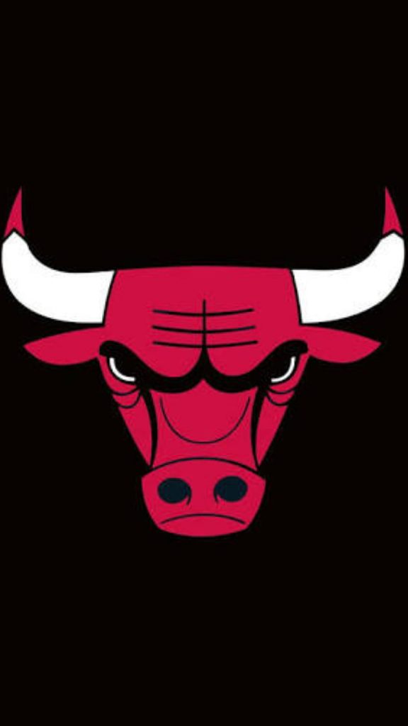 bullthemecompany