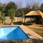 Scratch Swimming Pool, Tree Felling, Renovation, Painting and Thatching Lapa