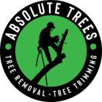 Absolute Trees