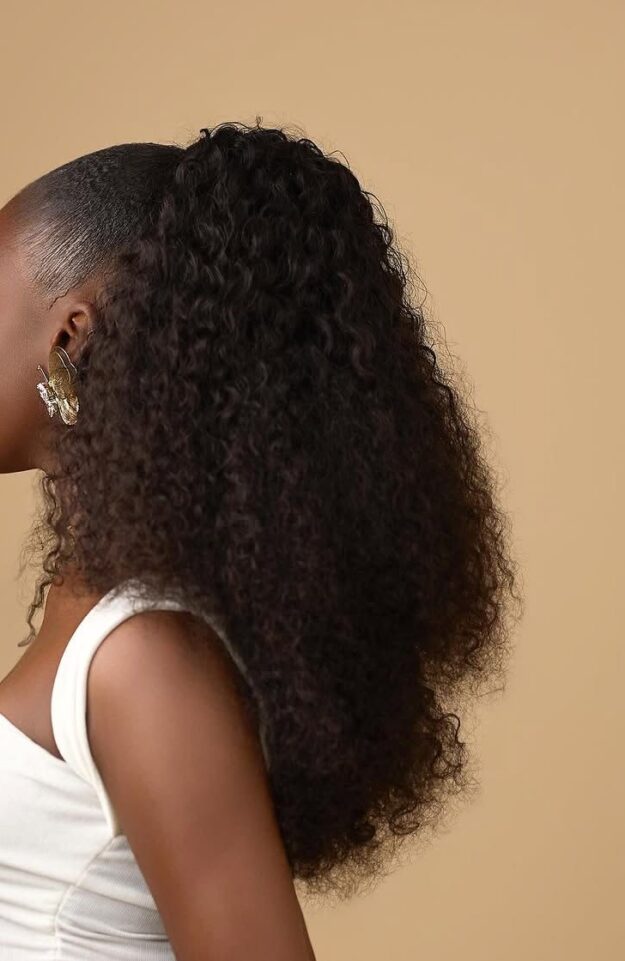 Burmese, curly ponytail